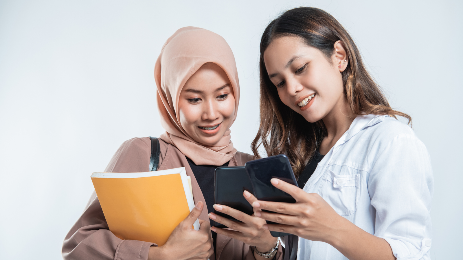 cari art di cicana: reward member get member